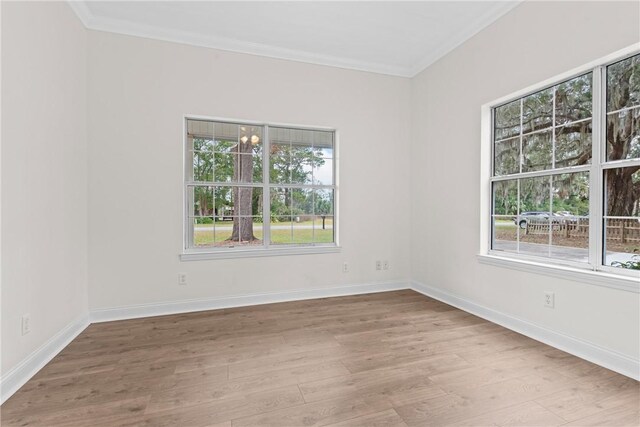 empty room featuring ornamental molding, light hardwood / wood-style flooring, and a healthy amount of sunlight