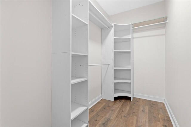 walk in closet featuring wood-type flooring