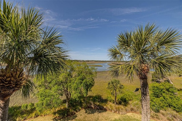 water view