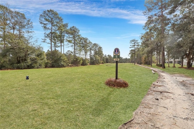 1033 Mayflower Rd NE Unit A, Townsend, GA 31331 - photo 57
