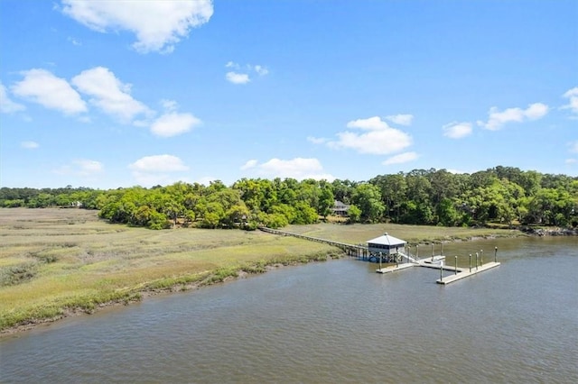 property view of water with a dock