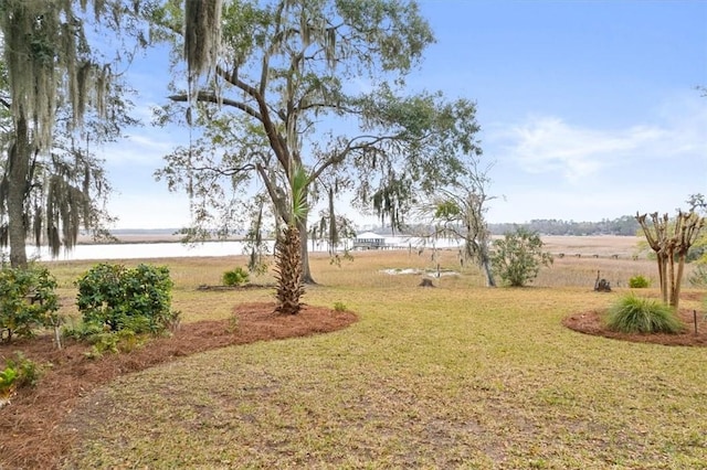 view of yard with a water view