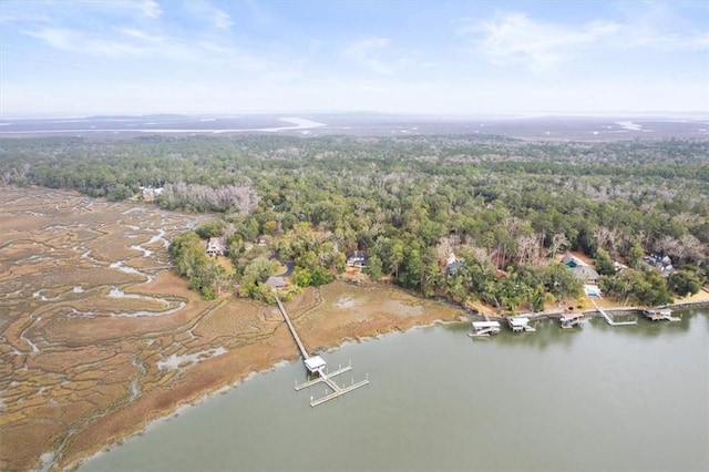 birds eye view of property with a water view and a view of trees