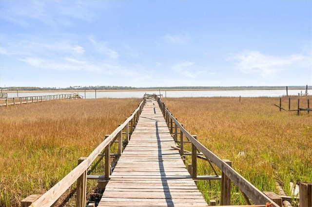 dock area with a water view