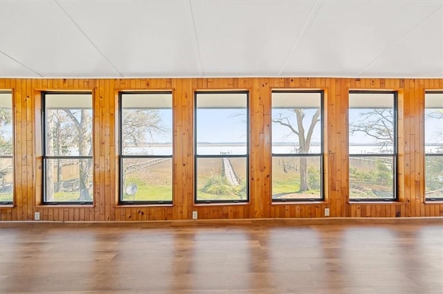 interior space with wood walls and wood finished floors