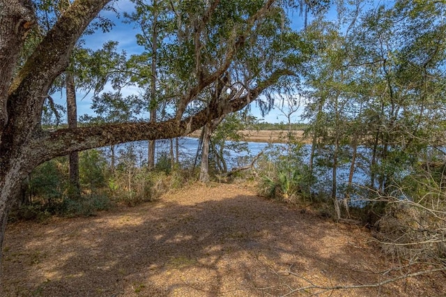 Listing photo 3 for 18 Sanderling Trce, Waverly GA 31565