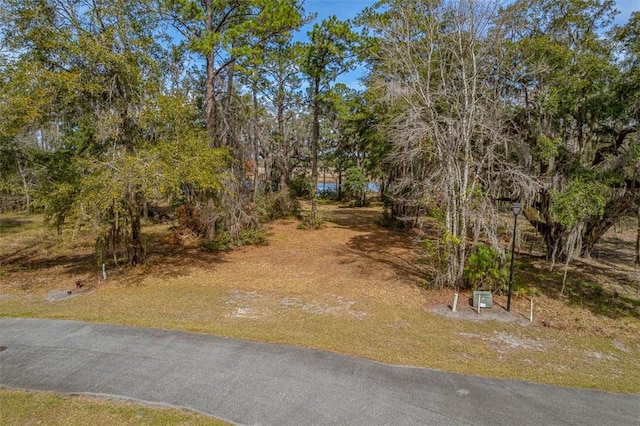 Listing photo 2 for 18 Sanderling Trce, Waverly GA 31565