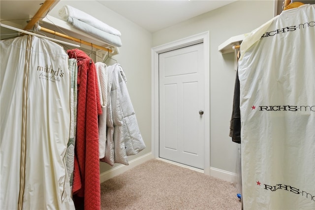 walk in closet with carpet