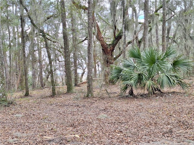 13021 Ga Highway 99, Darien, GA 31305 - photo 6