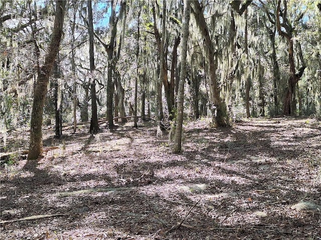 13021 Ga Highway 99, Darien, GA 31305 - photo 3