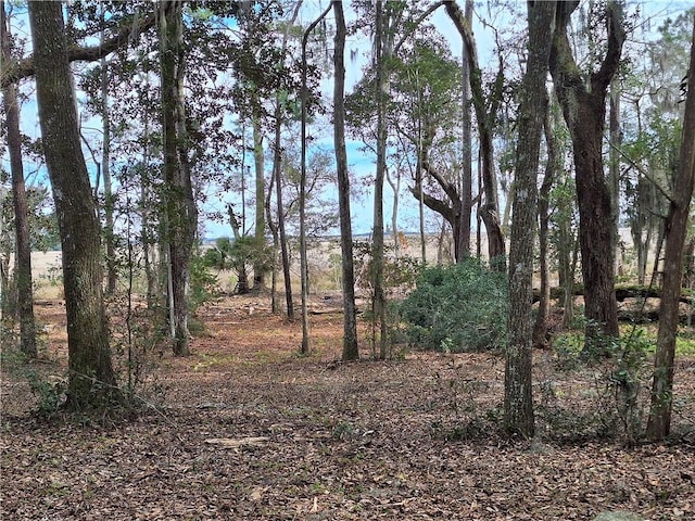 13021 Ga Highway 99, Darien, GA 31305 - photo 4