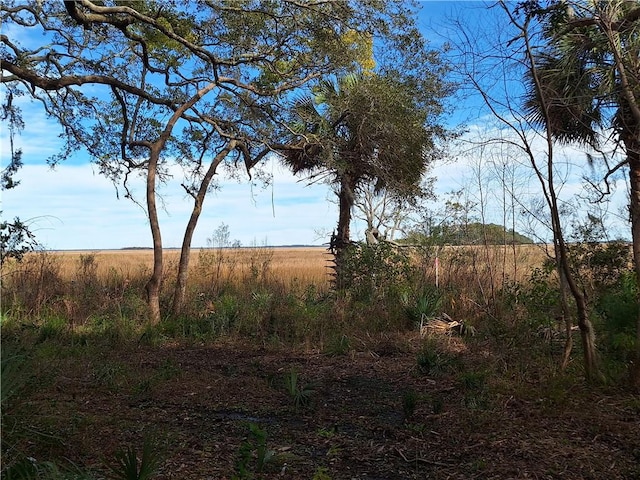 13021 Ga Highway 99, Darien, GA 31305 - photo 1