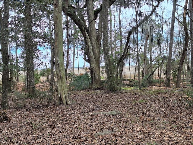13021 Ga Highway 99, Darien, GA 31305 - photo 5