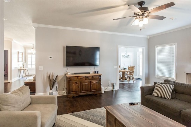 living room featuring ornamental molding, dark hardwood / wood-style flooring, and ceiling fan with notable chandelier