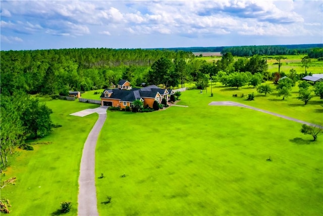 4949 Trudie Rd, Blackshear, GA 31516 - view of subject property with a heavily wooded area