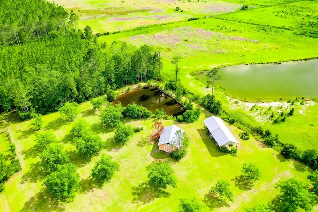 4949 Trudie Rd, Blackshear, GA 31516 - bird's eye view of a large body of water