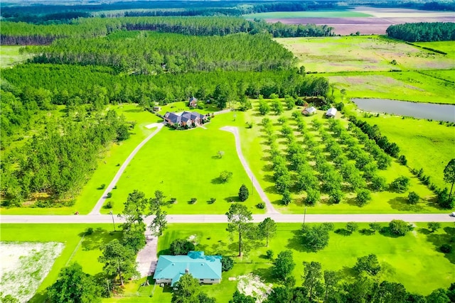 4949 Trudie Rd, Blackshear, GA 31516 - view of rural area featuring a large body of water