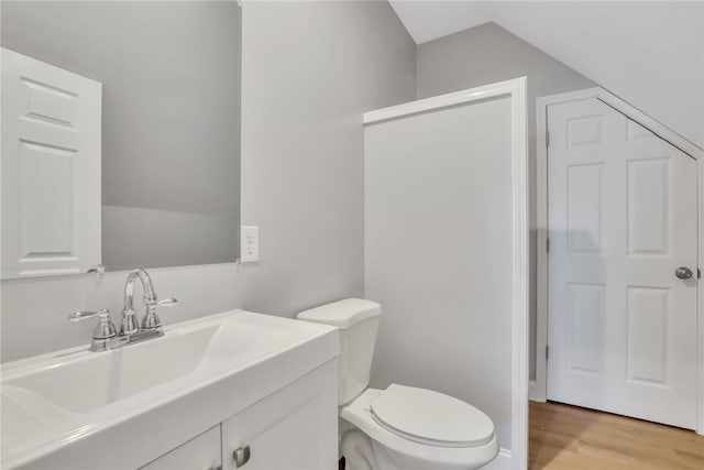 bathroom featuring vanity, hardwood / wood-style flooring, and toilet