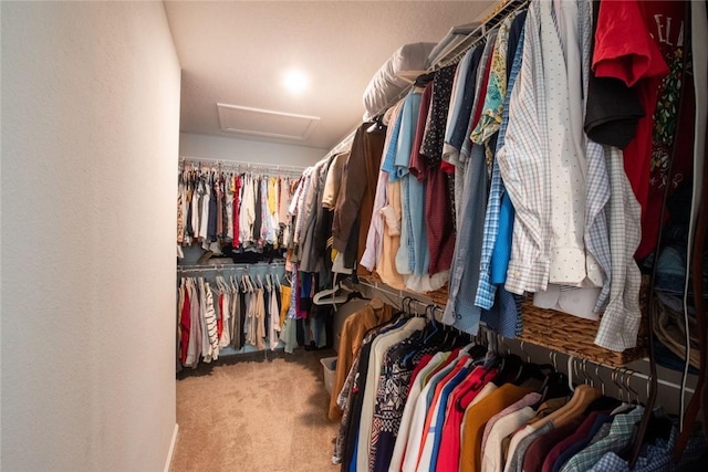 200 Pistachio Ln, Kingsland, GA 31548 - walk in closet with attic access and carpet floors