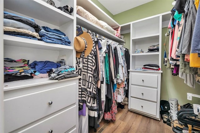 126 Riverwalk Dr, Brunswick, GA 31523 - walk in closet with light wood-style floors