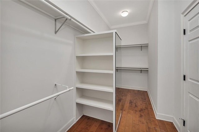 spacious closet with dark hardwood / wood-style floors