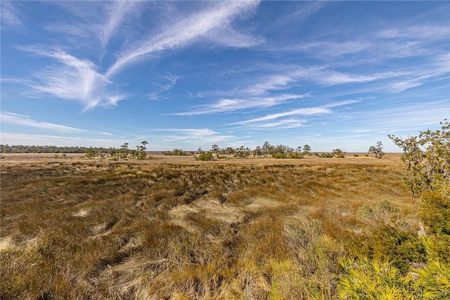 view of local wilderness featuring a rural view