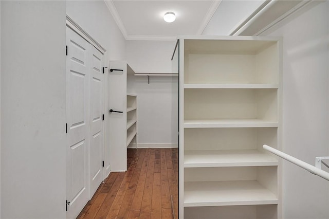 walk in closet featuring dark hardwood / wood-style flooring