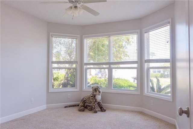 unfurnished room featuring ceiling fan, plenty of natural light, and carpet