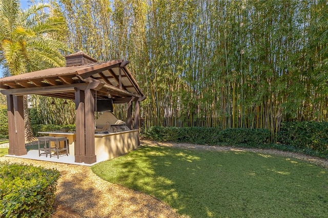 view of yard with a patio area, outdoor dry bar, a gazebo, and area for grilling