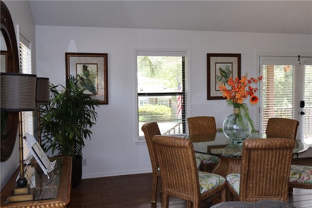 dining area featuring a wealth of natural light and dark wood-type flooring