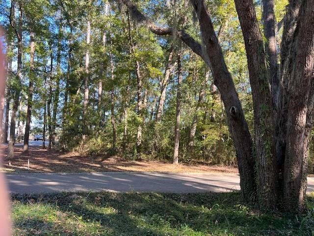 51 Bluffs Lndg, Waverly GA, 31565 land for sale