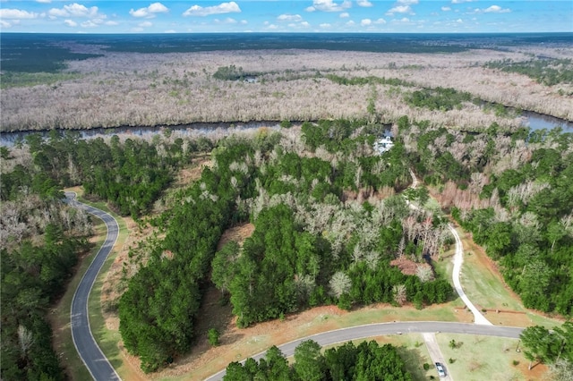 448 Shoreline Dr, Kingsland, GA 31548 - photo 11