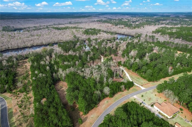 448 Shoreline Dr, Kingsland, GA 31548 - photo 13