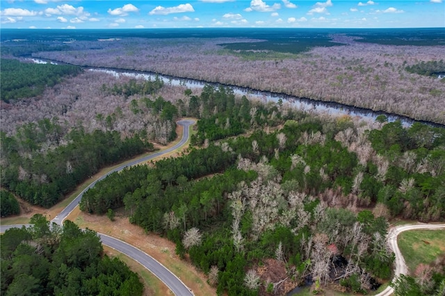 448 Shoreline Dr, Kingsland, GA 31548 - photo 15