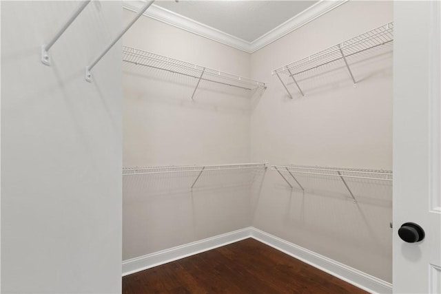 spacious closet with wood finished floors