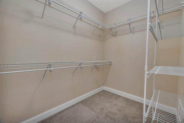 253 Winding Trl, Brunswick, GA 31523 - spacious closet featuring carpet floors