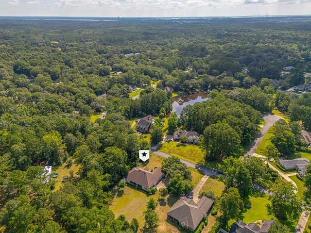 253 Winding Trl, Brunswick, GA 31523 - aerial view of a forest and a large body of water