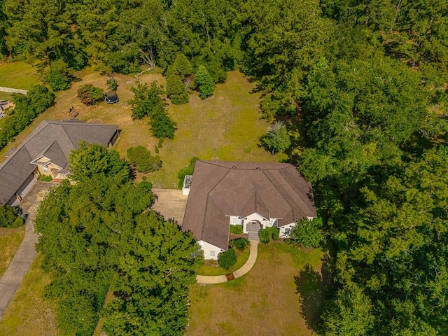 253 Winding Trl, Brunswick, GA 31523 - view from above of property