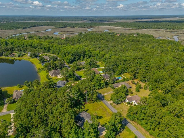 253 Winding Trl, Brunswick, GA 31523 - aerial overview of property's location featuring a large body of water and a heavily wooded area