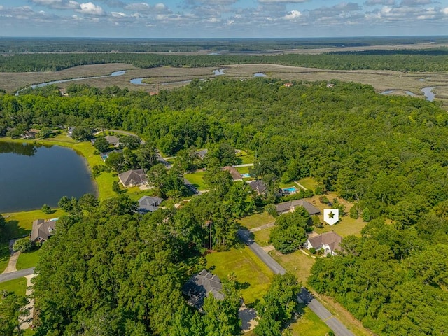 253 Winding Trl, Brunswick, GA 31523 - aerial view of property's location with a large body of water and a heavily wooded area