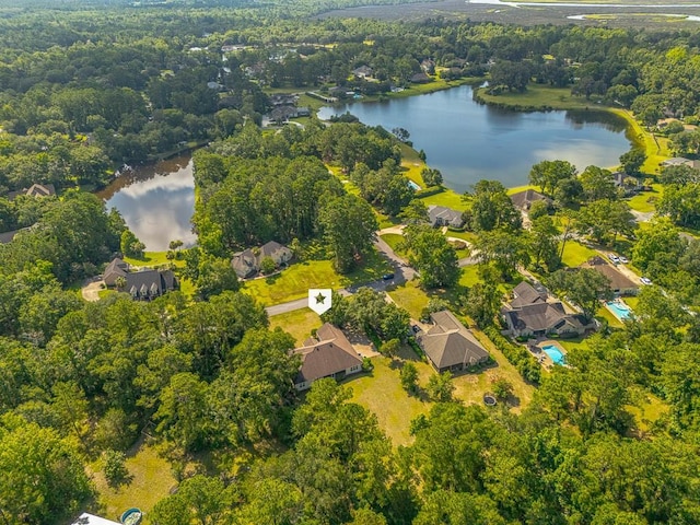 253 Winding Trl, Brunswick, GA 31523 - aerial view of a nearby body of water and a forest