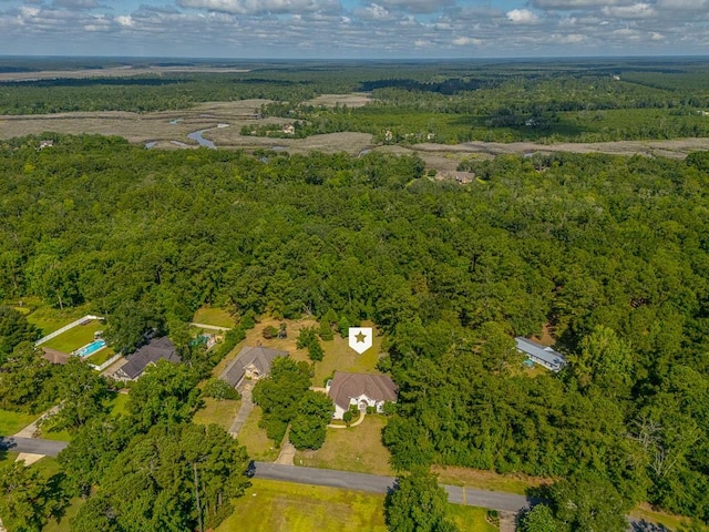 253 Winding Trl, Brunswick, GA 31523 - aerial overview of property's location with a forest