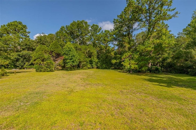 253 Winding Trl, Brunswick, GA 31523 - view of grassy yard with a view of trees