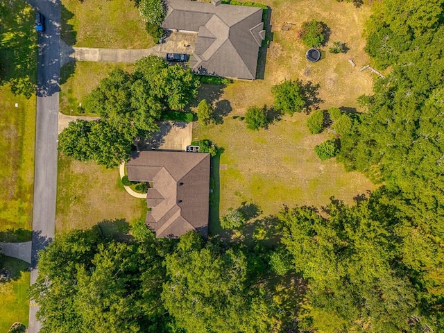 253 Winding Trl, Brunswick, GA 31523 - bird's eye view