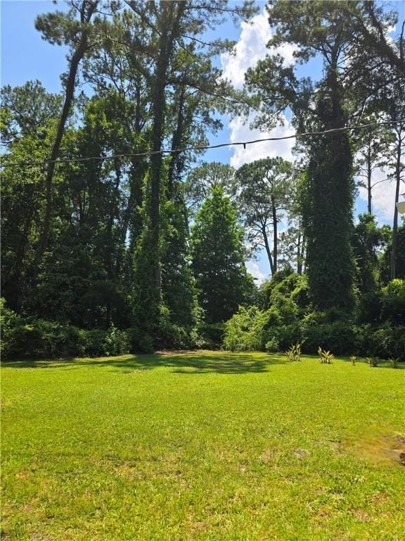 200 Satilla Dr, Brunswick, GA 31523 - photo 37