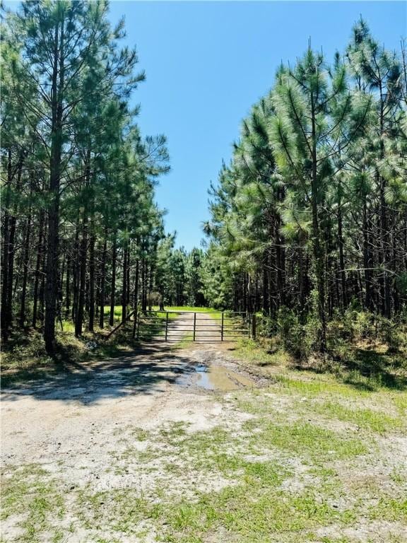 3478 Minton Rd NE, Townsend GA, 31331 land for sale