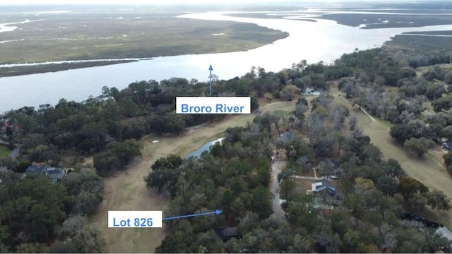 826 Bridge Island Dr, Townsend GA, 31331 land for sale