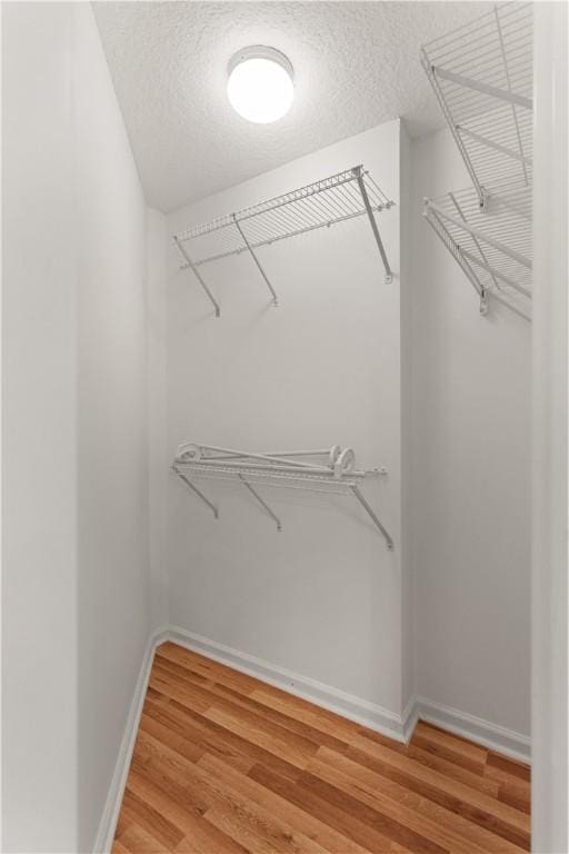 walk in closet with wood-type flooring