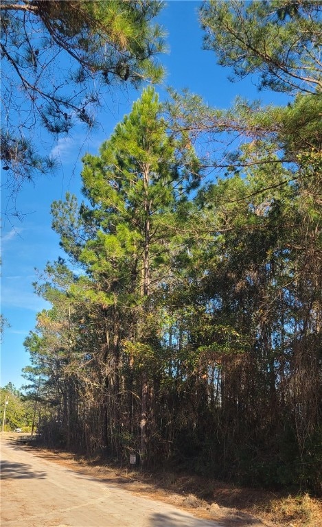 82 NE Floyd Dr NE, Shellman Bluff GA, 31331 land for sale