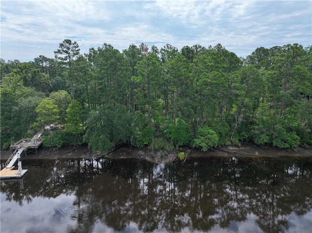 0 Incachee Ct, Woodbine, GA 31569